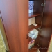 Autumn Maple 2 Door Storage Cabinet w/ Adjustable Shelves
